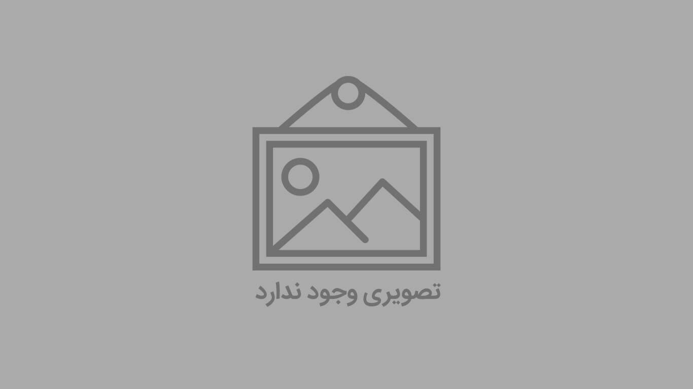 اثرات مخرب فضله پرندگان روی رنگ خودرو