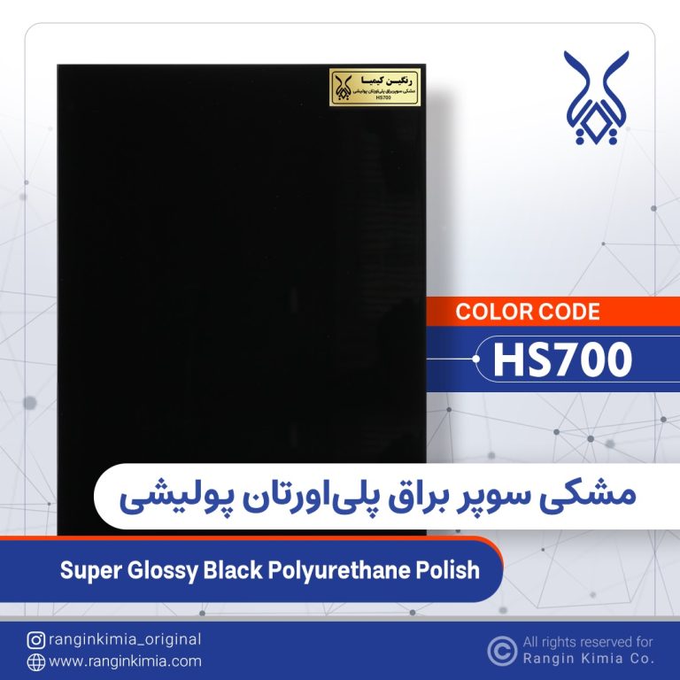 HS700