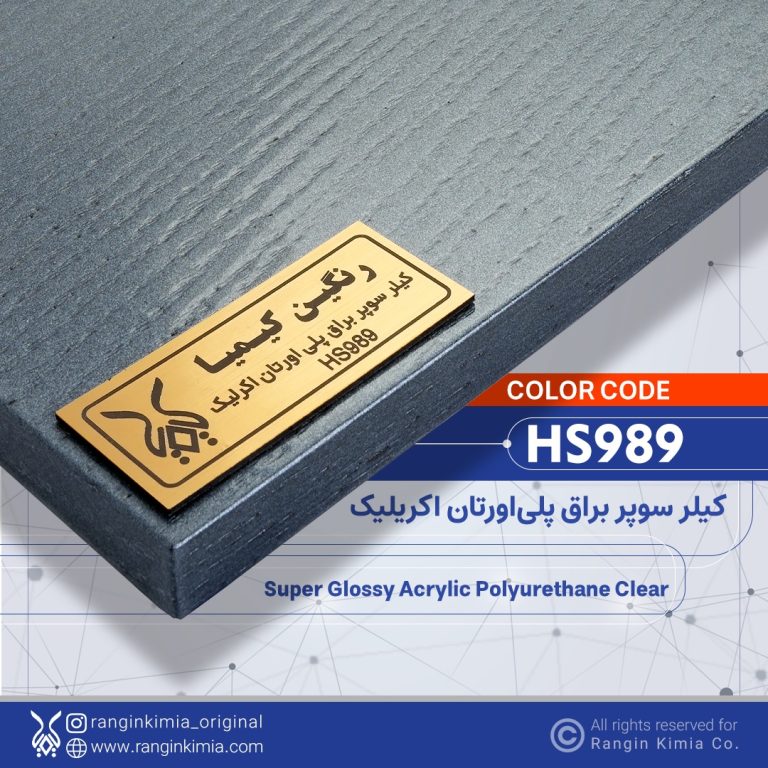 HS989