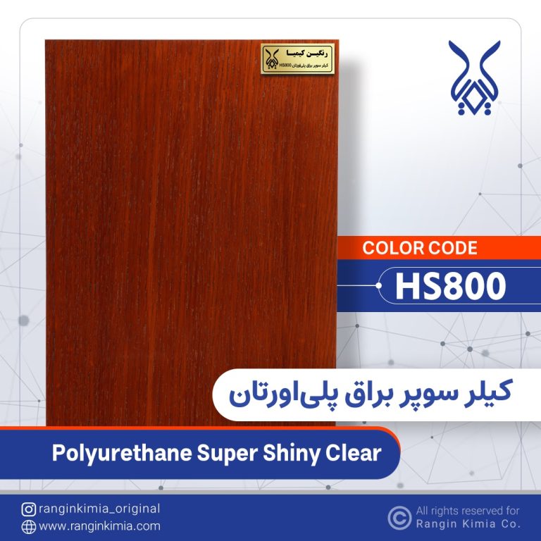 Hs800