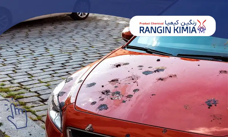 اثرات مخرب فضله پرندگان روی رنگ خودرو