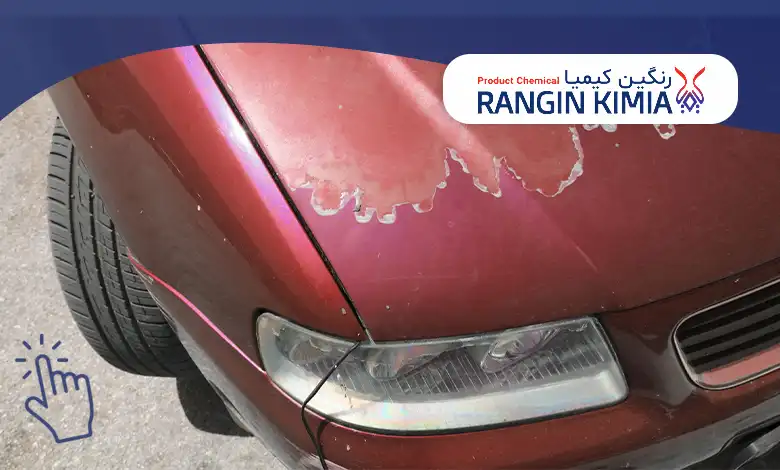 اثرات مخرب فضله پرندگان روی رنگ خودرو