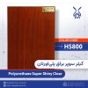 Hs800